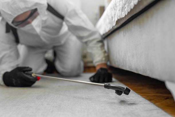 Professional Termite Control technician working in Gold Beach, OR