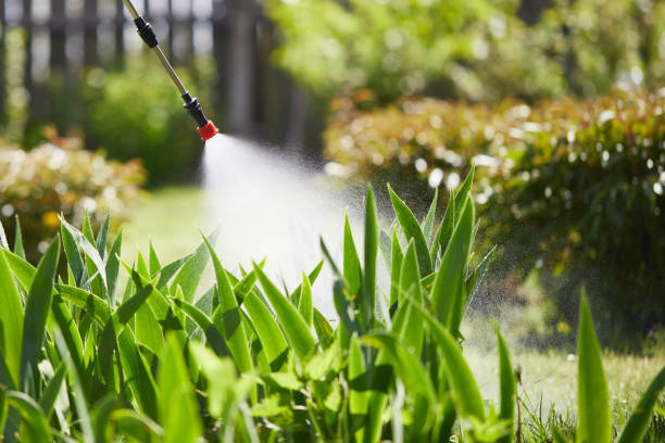 24/7 Emergency Termite Control experts in Gold Beach, OR