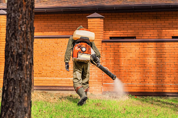 Top rated local Termite Control specialists in Gold Beach, OR